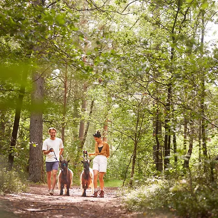 Отель Bispinger Heide By Center Parcs 3*