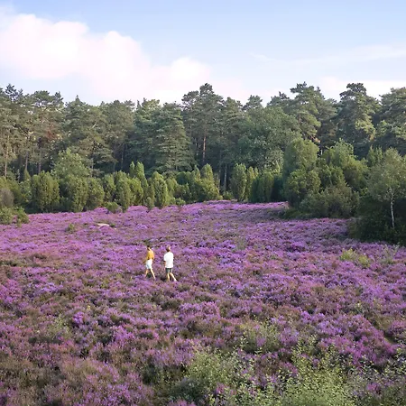 Bispinger Heide By Center Parcs 3*