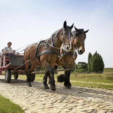 Отель Bispinger Heide By Center Parcs