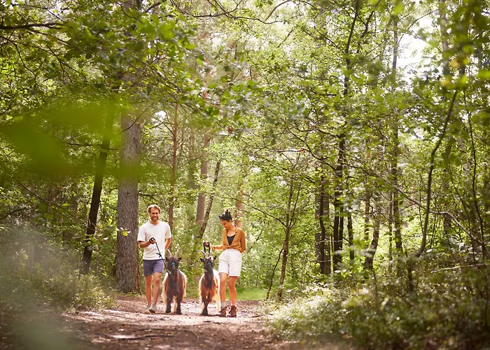 Hotel Bispinger Heide By Center Parcs 3*