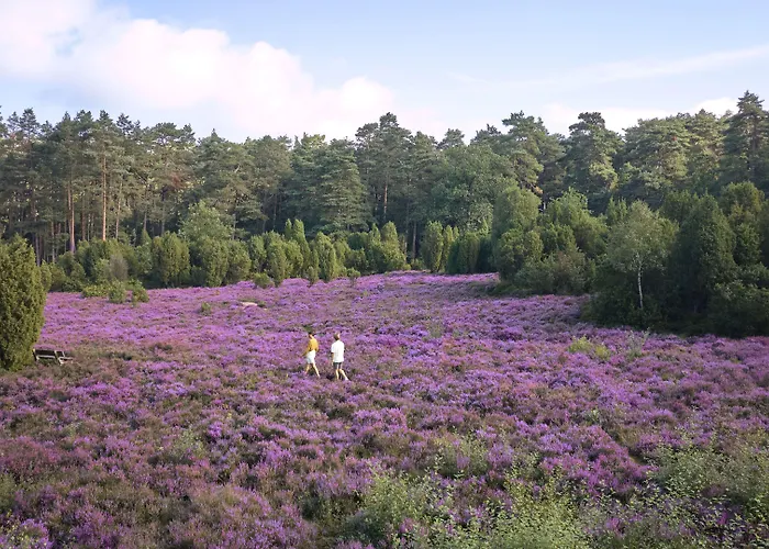 Bispinger Heide By Center Parcs 3*