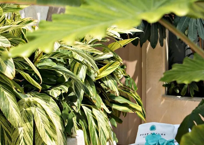 Bispinger Heide By Center Parcs Hotel Bispingen