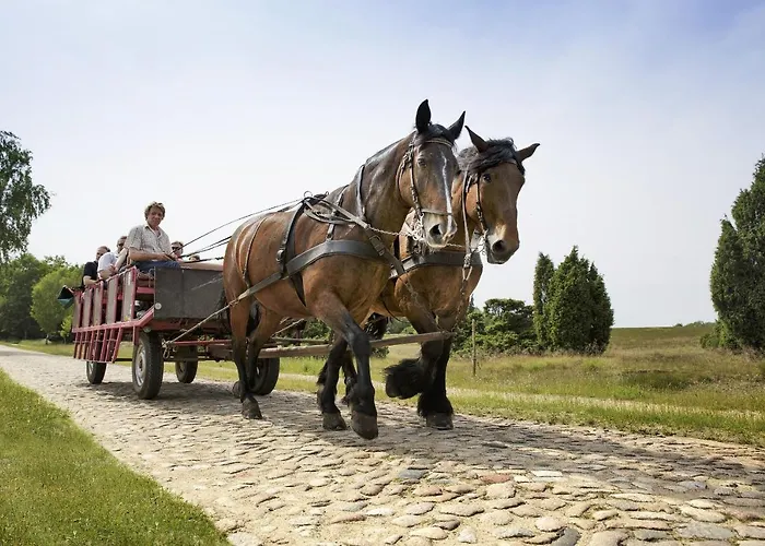Hotel Bispinger Heide By Center Parcs